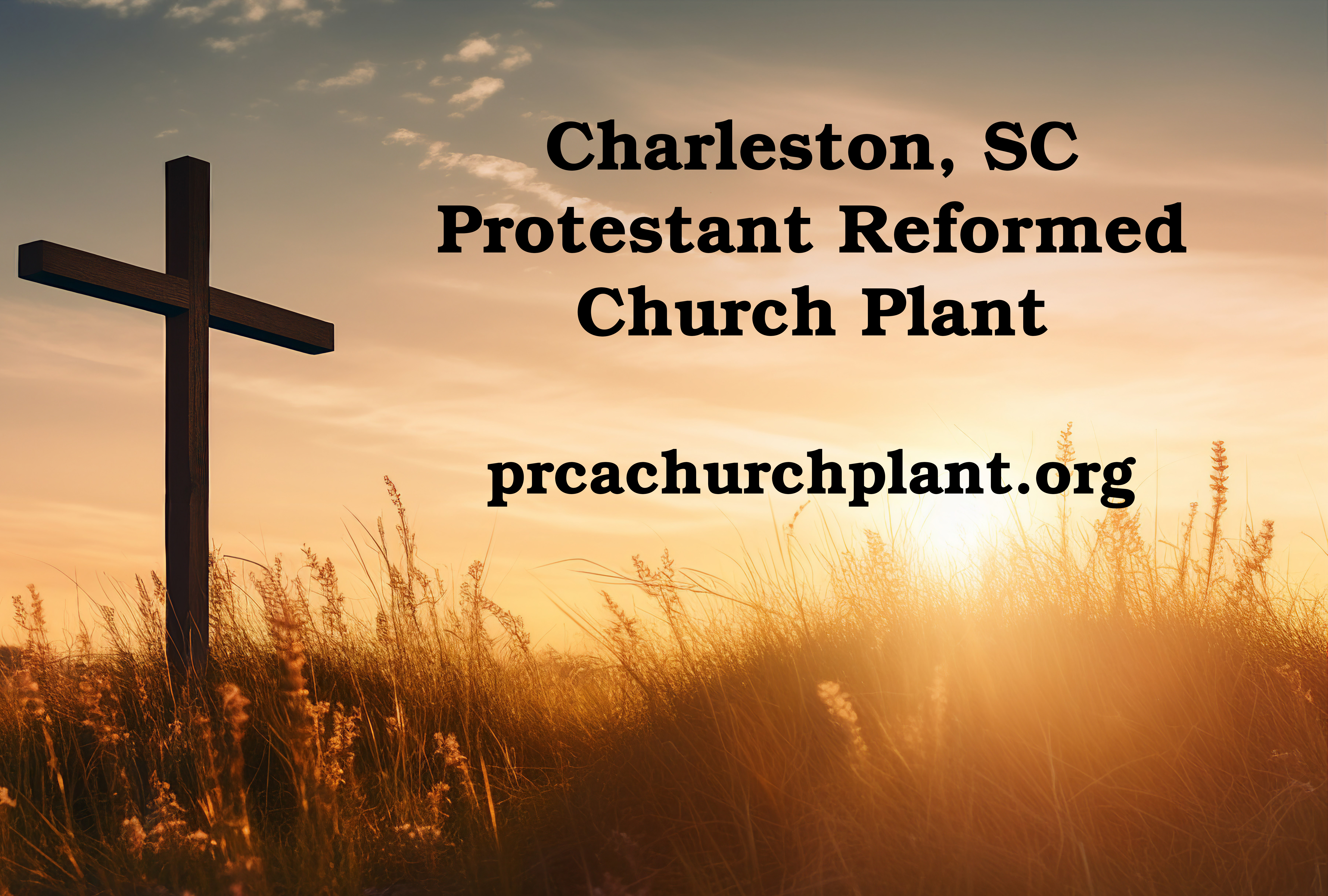 DFC PRC Fellowship logo
